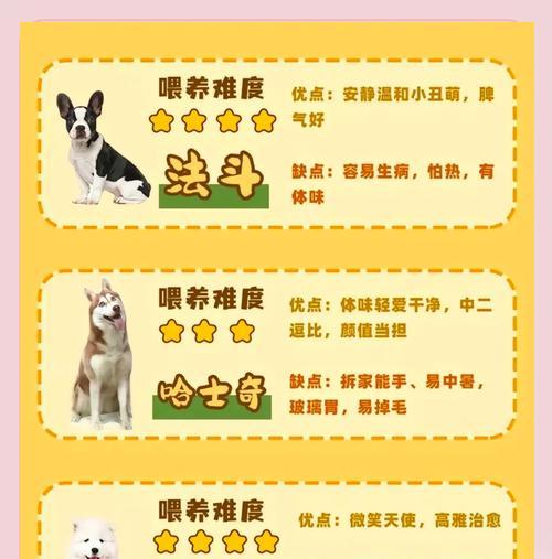 了解以巴哥犬的特点和饲养事项（新手铲屎官必读，为你的巴哥犬提供最佳护理！）