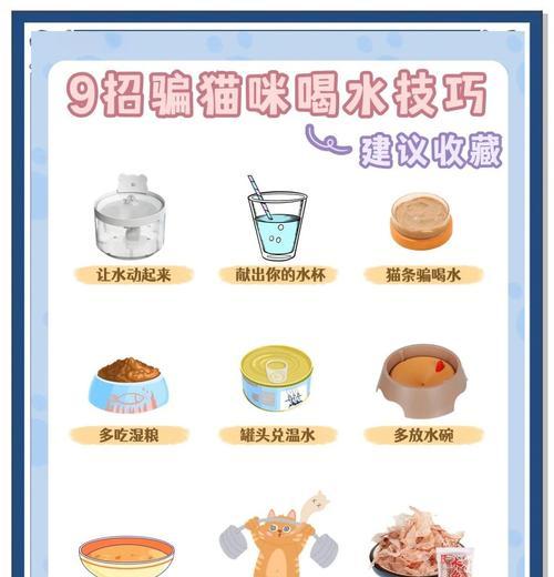 猫咪上火怎么办？——宠物猫的体质调理与护理（探讨猫咪上火的原因及应对策略）