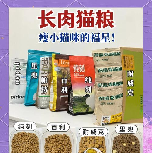 为猫咪增肥的最佳食物选择（猫咪增肥食谱大揭秘！）