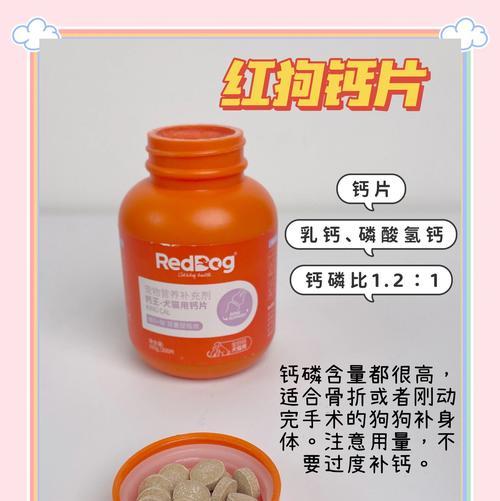 狗狗适宜食用的钙质食物种类（了解狗狗所需的钙质食物，给它们健康成长）