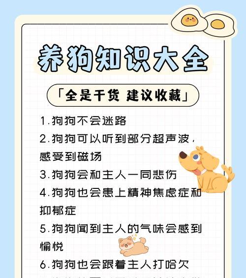 养狗需谨慎，注意避免6大忌（了解这些知识，成为负责任的狗主人）