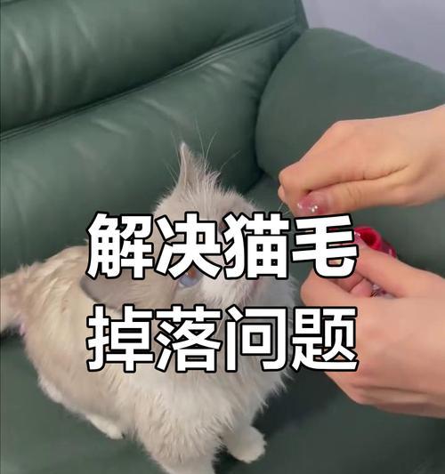 如何缓解猫咪掉毛问题？（15个有效方式帮助你的猫咪减少掉毛）