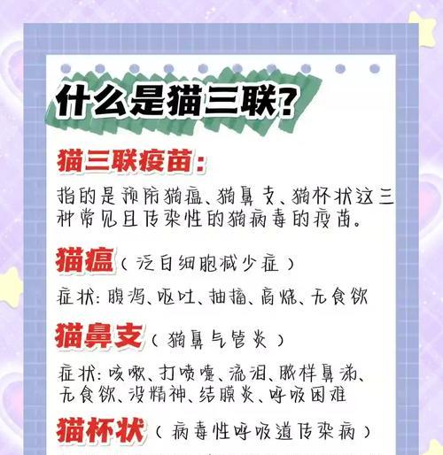 猫疫苗接种后多久可以绝育？（探讨猫咪接种疫苗后进行绝育的最佳时机）
