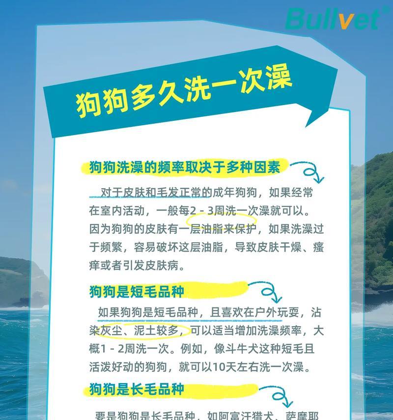 购买狗后多久可以洗澡？（狗狗洗澡的最佳时机与注意事项）