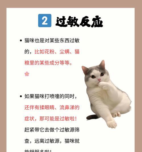 猫咪的哈气（揭秘猫咪哈气的5个问题，了解原因并及时处理）