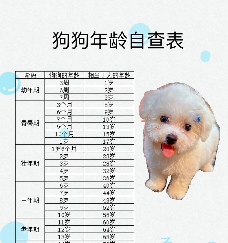 揭秘狗狗身体构造之优胜部位（解析狗狗身体构造，哪些部位比人类更出色？）