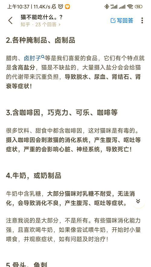 关于领养流浪猫的指南（让你的家庭变得更完整——拯救一只流浪猫）