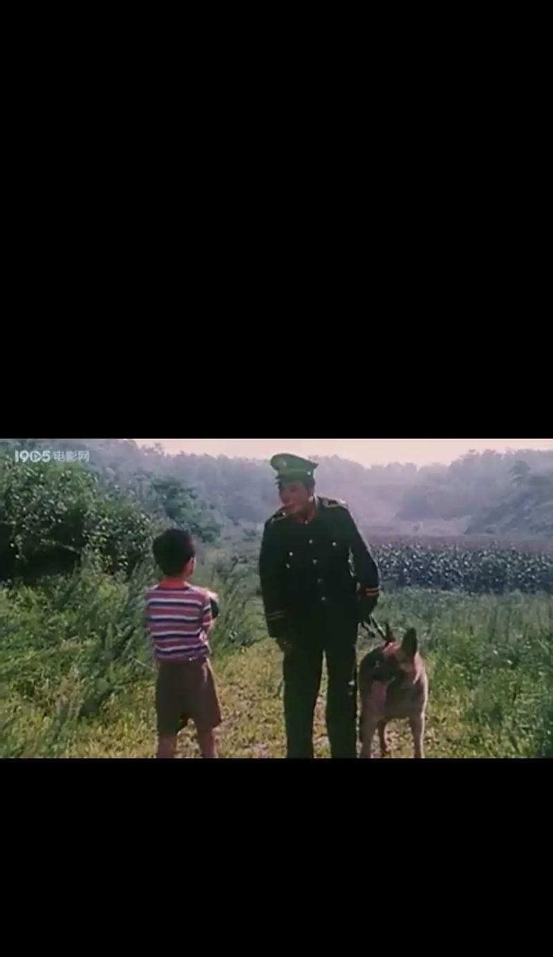 经典犬影（15部经典老片中狗狗们的故事）