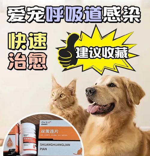了解狗流感症状及预防方法（狗流感症状有哪些？如何防范狗流感？）