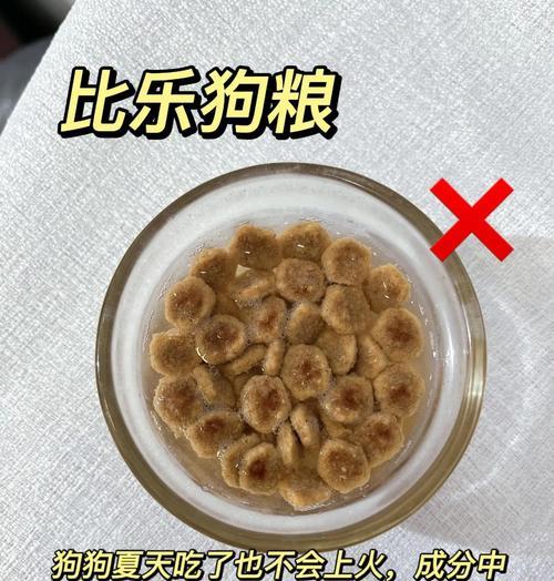 狗粮泡发多久才能安全食用？（探索最佳狗粮泡发时间，关注宠物健康与饮食需求）