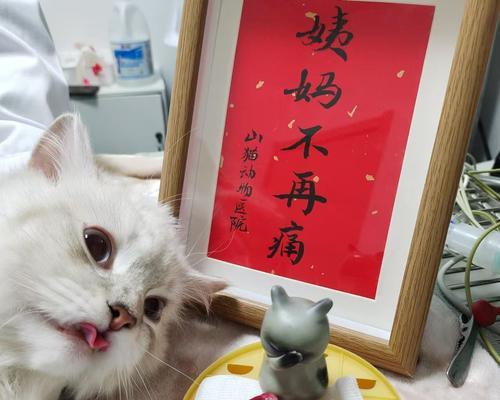 母猫绝育的最佳时机（母猫绝育时间选择与健康保护）