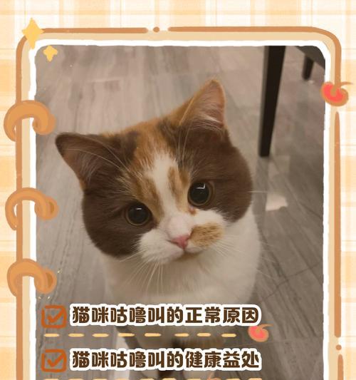 猫咪半夜总爱叫，是生病，还是另有其源？（揭秘猫咪半夜叫的真正原因，帮你解决它的不安与烦恼）