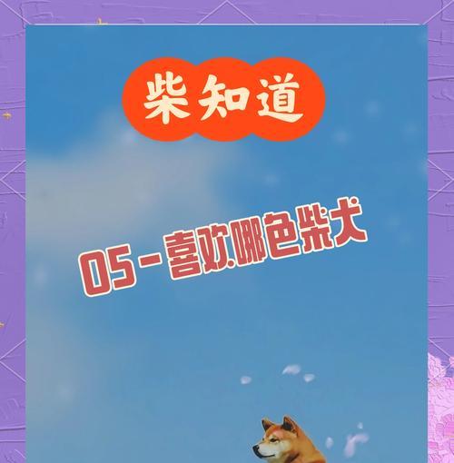 柴犬的多彩世界（探索柴犬世界中丰富多样的毛色）