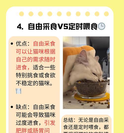 科学喂养，健康猫咪（掌握猫咪猫粮的科学喂养方法，为猫咪的健康保驾护航）