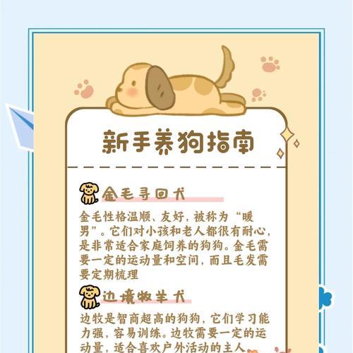 养小狗必看攻略——喂养与训练（如何正确喂养小狗？怎样进行基础训练？）