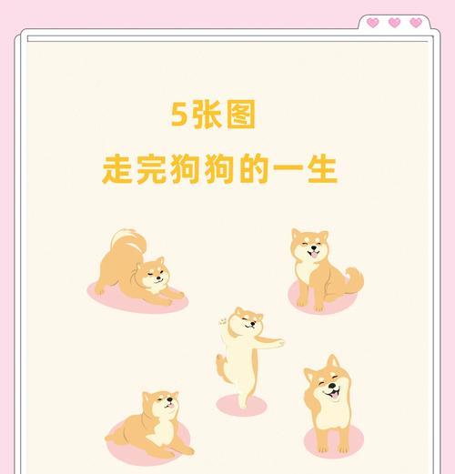 狗狗出生后何时睁开眼？（探寻狗狗眼睛的奇妙旅程）