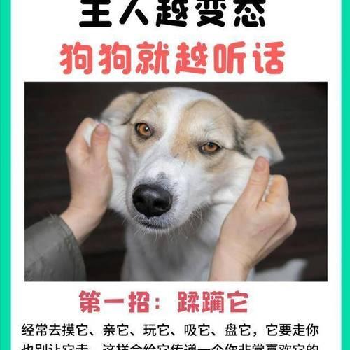 如何阻止狗狗翻垃圾桶？（3个简单有效的方法帮你解决烦恼）