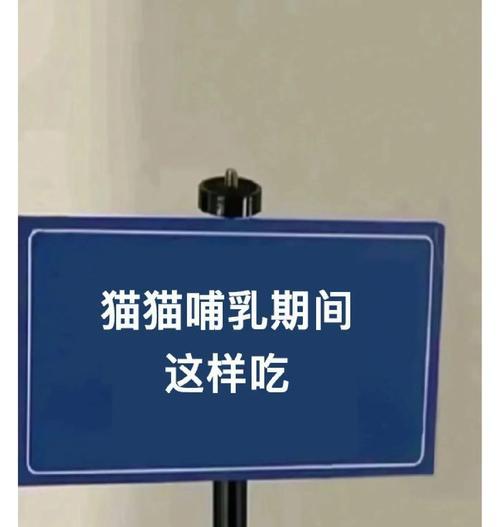 给猫咪提供的补品——让你的宠物更健康（了解猫咪的需求，喂养适当的补品是重要的）