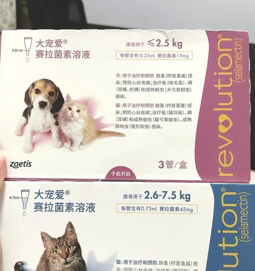 宠物洗澡后多久才能使用？（了解宠物洗澡后的合适等待时间及注意事项）
