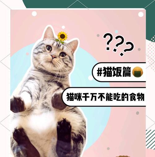 猫咪的食物过敏及预防方法（揭示猫咪易过敏食物，守护它们的健康）