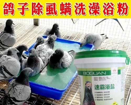 洗澡多久需要洗一次螨虫？（螨虫清洁频率的探讨）