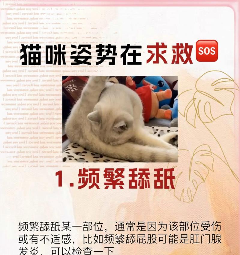 猫猫驱虫的时间表与方法（保护宠物猫猫健康的必备知识）