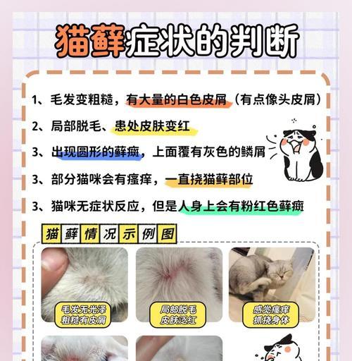 猫藓的治疗方法及注意事项（深入了解猫藓的病因和症状，有效治疗关键）