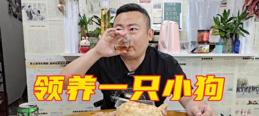 狗狗适合吃大骨的时间和量（大骨在狗狗饮食中的重要性及正确喂养方式）