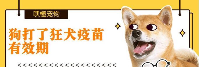 狗疫苗保存期有多久？（关于狗疫苗保存期限的一些重要信息）