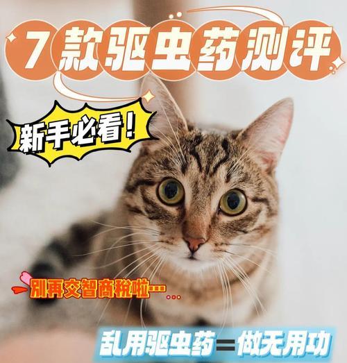 猫驱虫药的选择和使用方法（了解常用猫驱虫药的种类及正确使用方法，保护宠物健康）