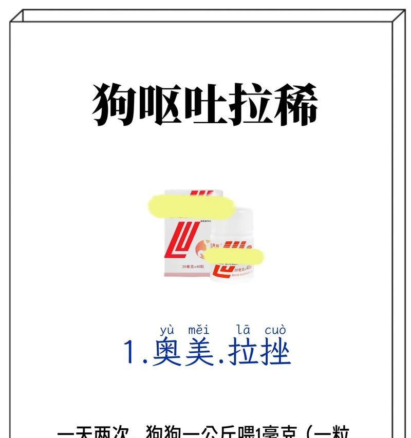 探究狗狗连续三个月呕吐的原因（从饮食习惯到疾病，了解宠物狗呕吐背后的真相）