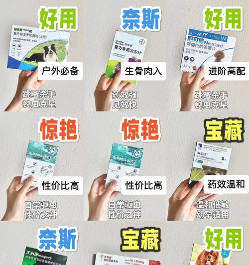 狗驱虫药的正确喂食方式（了解喂食时间和剂量，确保宠物的健康）