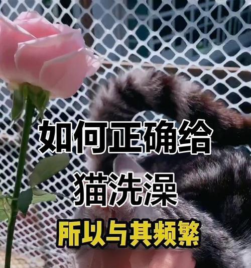 澡多搓一次，身心倍清爽（探讨搓澡频率的最佳选择）