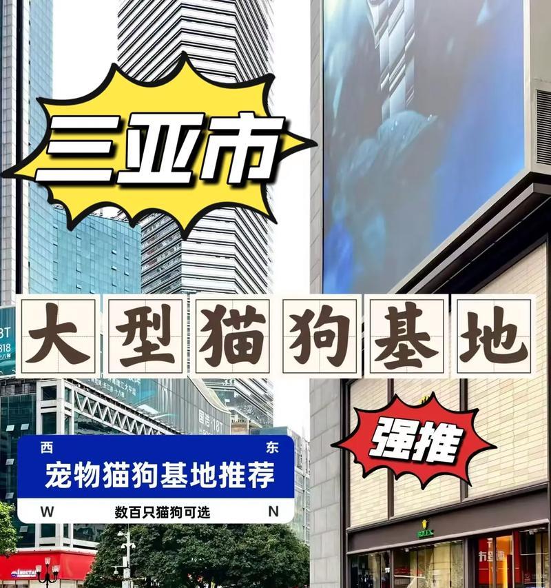 网上买狗靠谱的店有哪些？（帮你找到可信赖的网上买狗店）