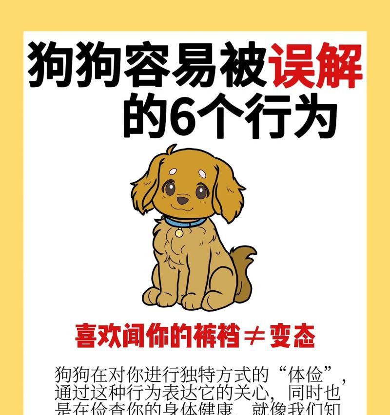 如何通过6个地方判断狗狗的年龄（揭开狗狗年龄的秘密，准确判断你的爱宠的年龄）