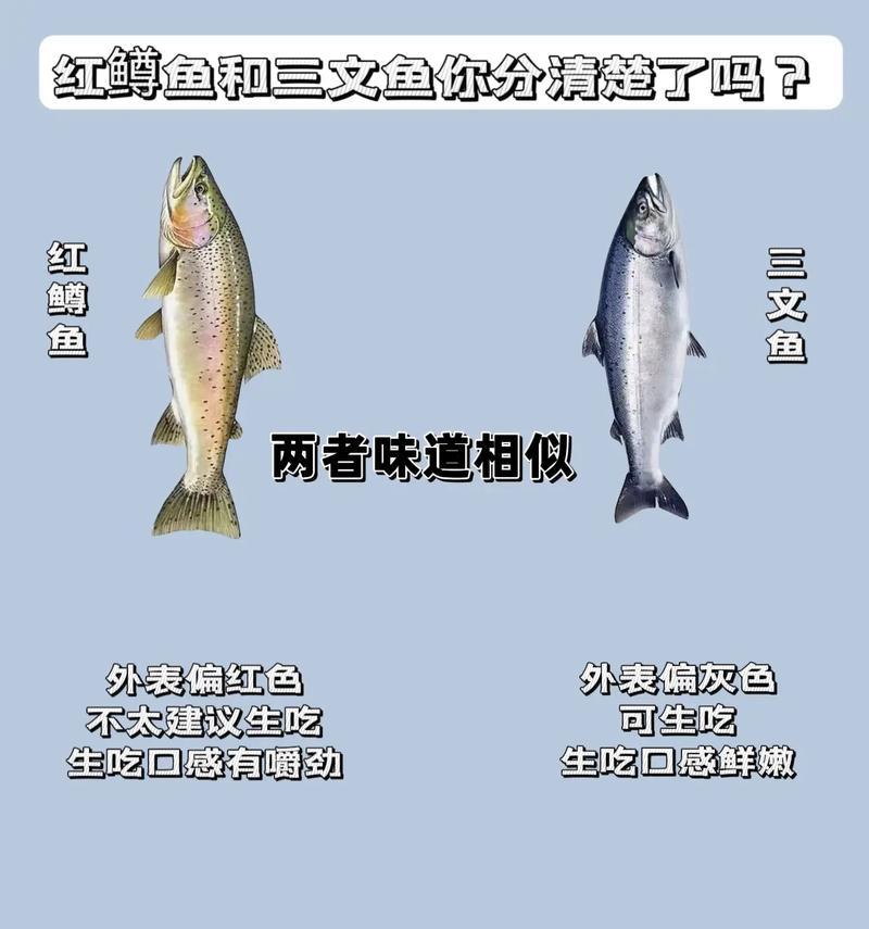 红绿灯鱼的食物选择及其重要性（探究以哪些鱼吃红绿灯鱼为主食的原因及其生态意义）