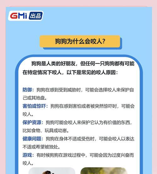 如何教育一只喜欢咬人的小狗？（有效方法与关键技巧，让你的狗狗改掉咬人的坏习惯！）