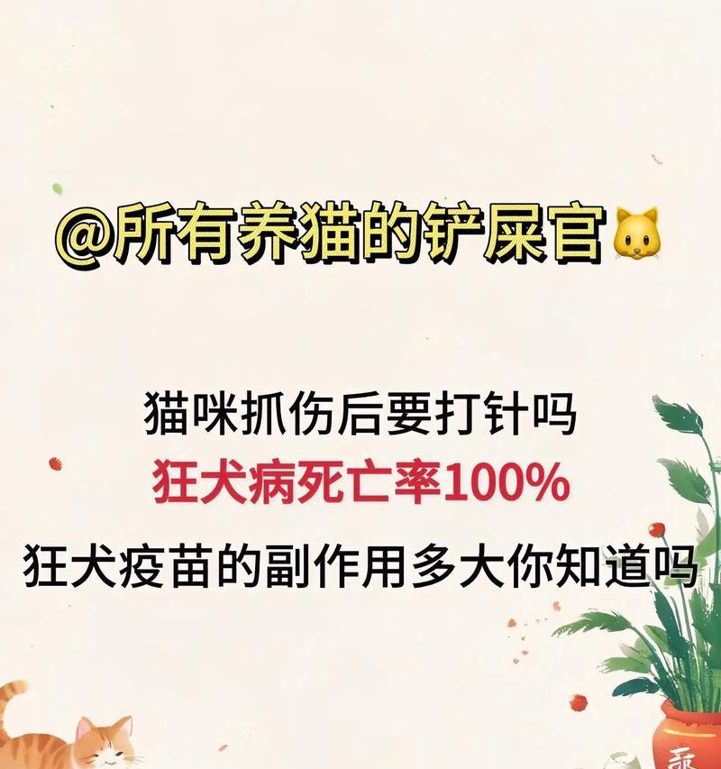 猫是否需要打狂犬病疫苗？（探讨猫类疫苗的必要性及风险评估）