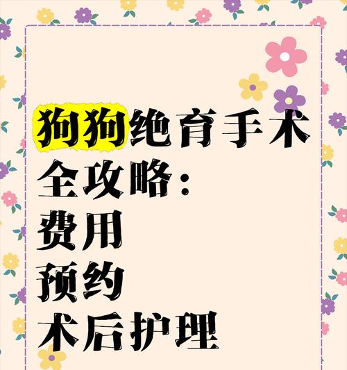 了解狗狗绝育手术（关心宠物健康，绝育是明智之选）