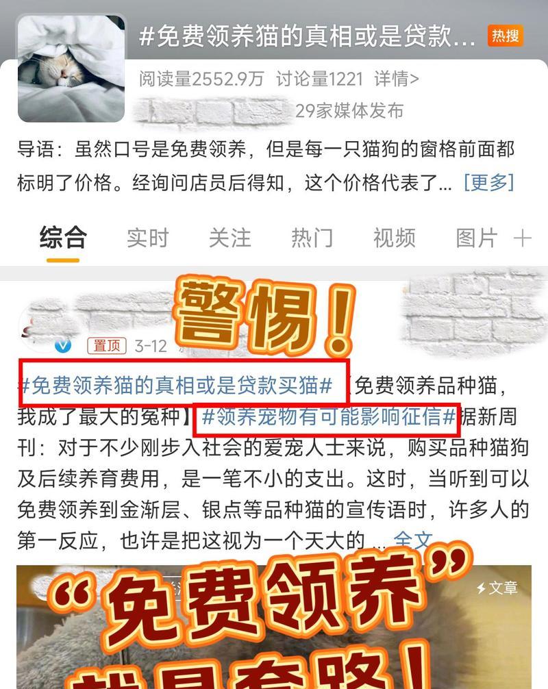 如何选择正规途径线上买猫？（全面指南，帮你找到可信赖的线上猫咪购买渠道）