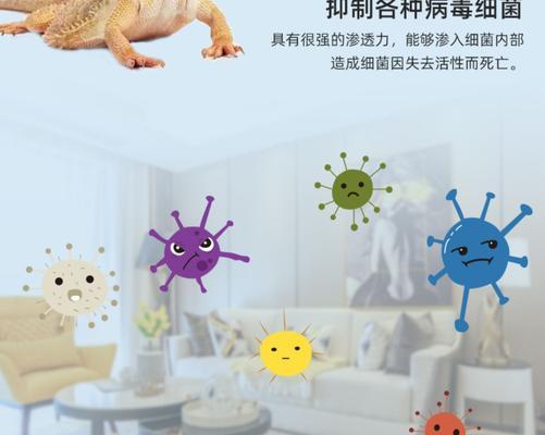 狗舍消毒液的种类与使用方法