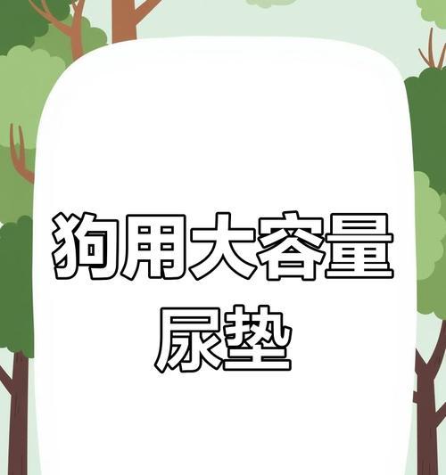 选择狗厕所和狗尿垫的要点（定点训练如何利用狗厕所训练狗狗上厕所）