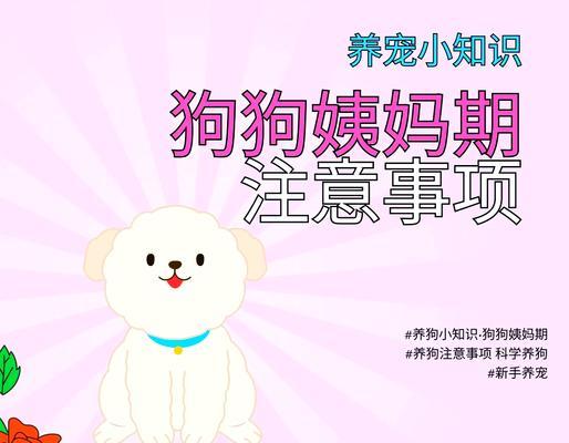 金毛的月经周期与健康指南（探索金毛月经周期）