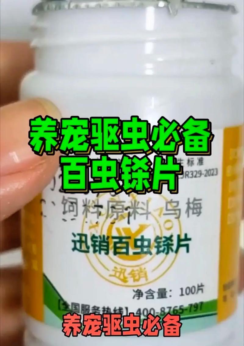 揭秘（了解狗狗肚子里常见的虫类有助于它们的健康）