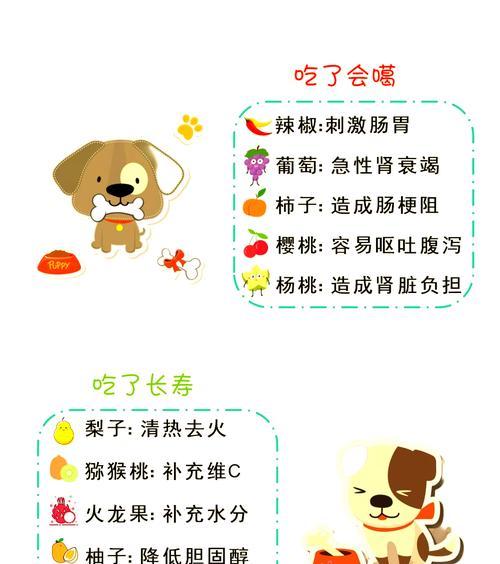 让你的狗狗长寿的5件事（宠爱、营养和关怀——保证你的狗狗健康长寿的关键）