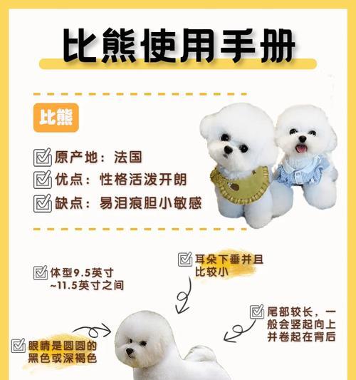 比熊小狗的驱虫频率（每年驱虫一次是关键，不容忽视）