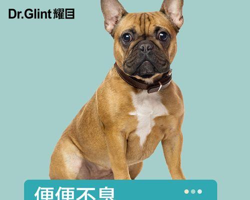 牛奶补钙需要多久才有效？（科学解析牛奶补钙时间与关键因素）