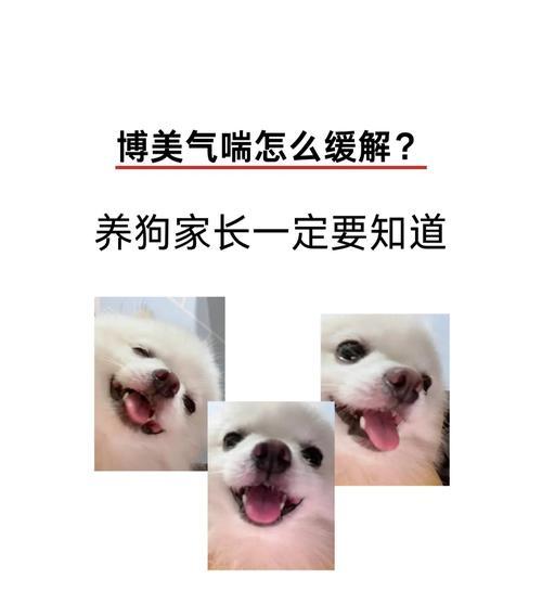幼犬呼吸急促可能与犬心肌炎型细小相关的病因和症状（探索幼犬呼吸急促的原因及可能的治疗方法）