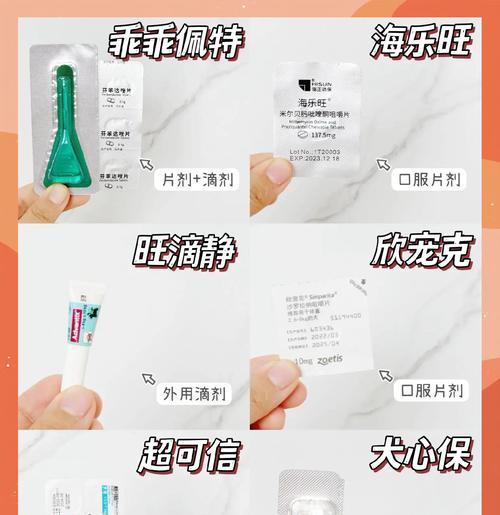 狗需要定期使用驱虫药来保持健康（了解狗使用驱虫药的频率和时间表，关爱宠物的健康）
