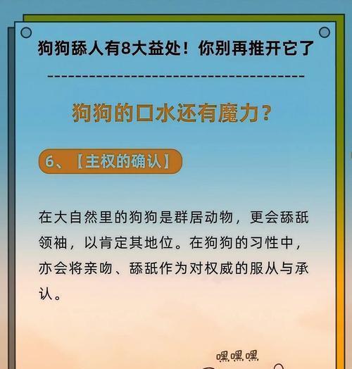 狗为什么喜欢舔人手脚？（探究狗舔人手脚的原因与意义）